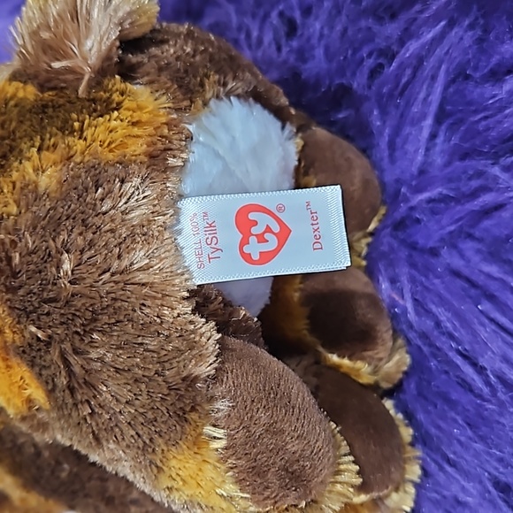TY, Dexter, The Beanie Boo Collection - Picture 5 of 7